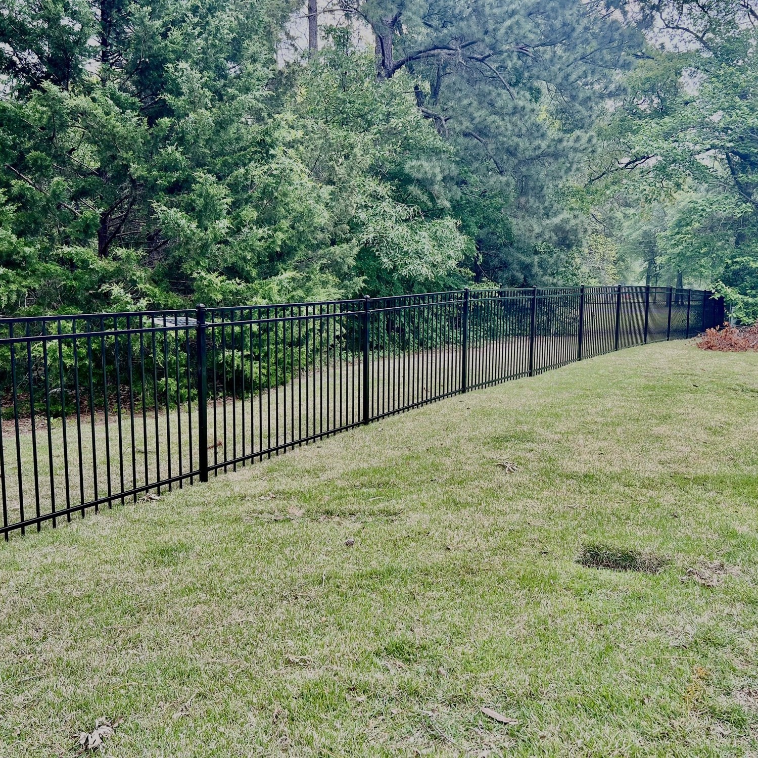 Ornamental Aluminum and Wrought Iron Fencing