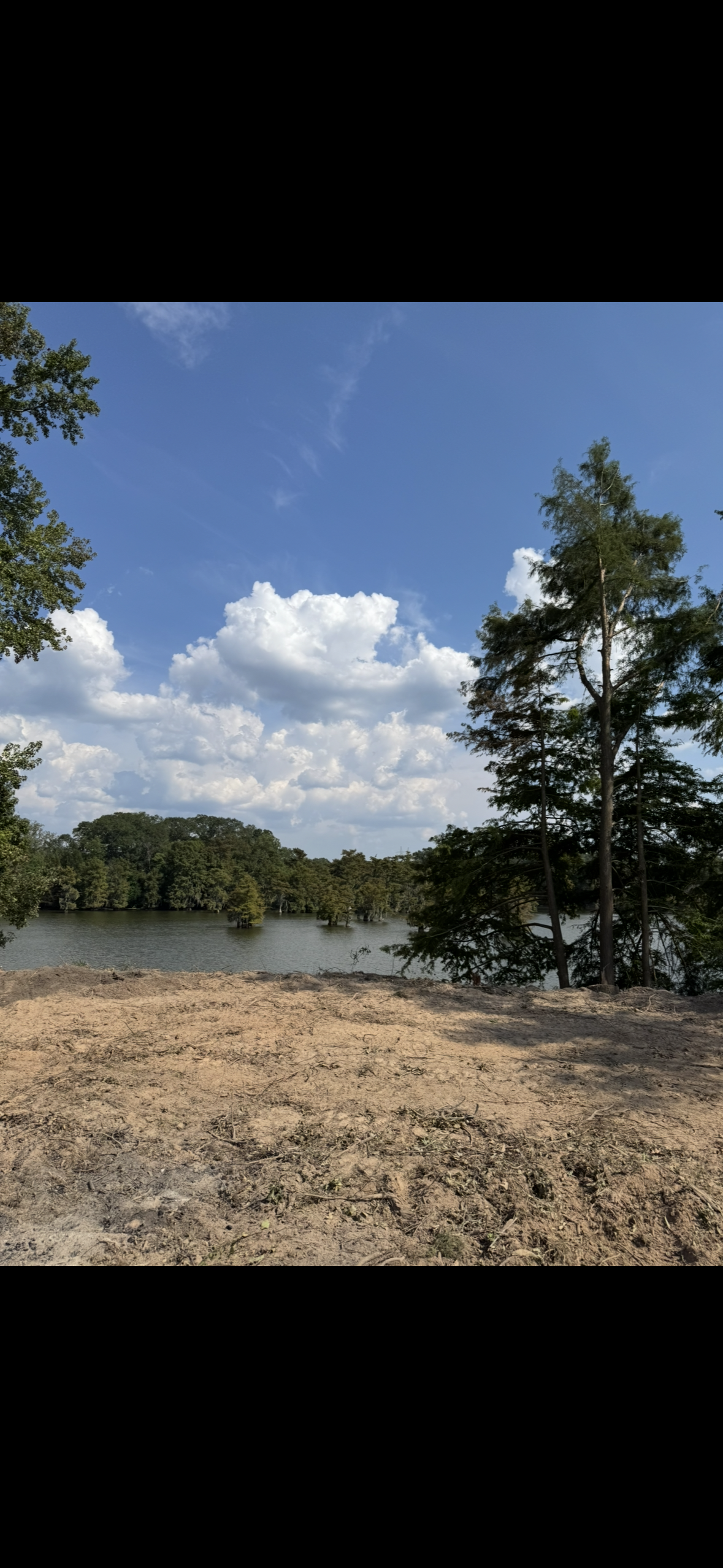 Local Bayou