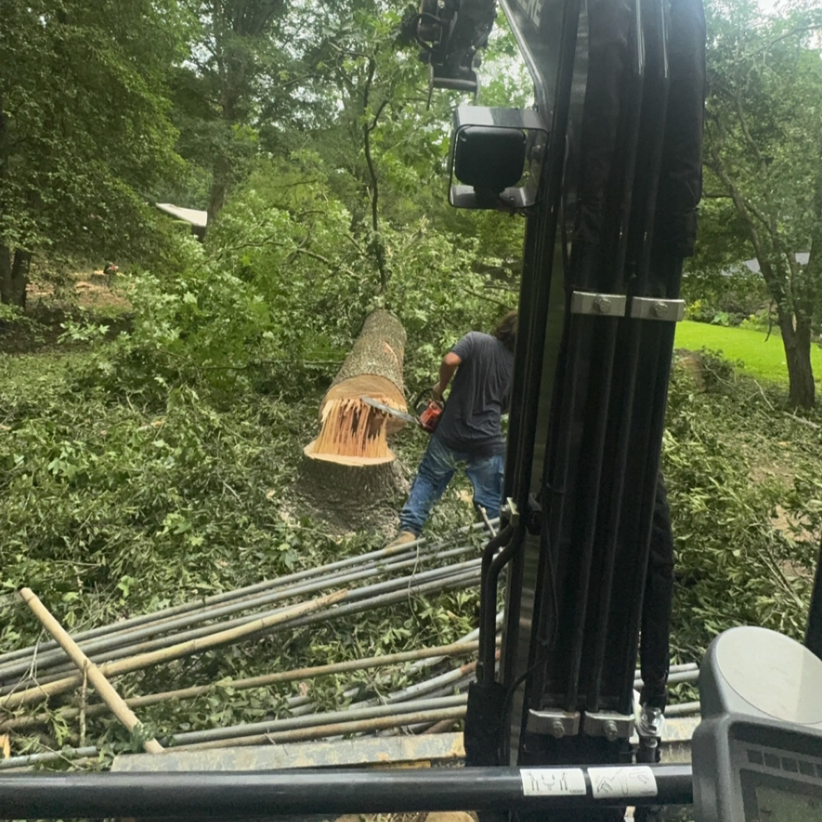 Hazardous Tree Removal and Rigging Operations