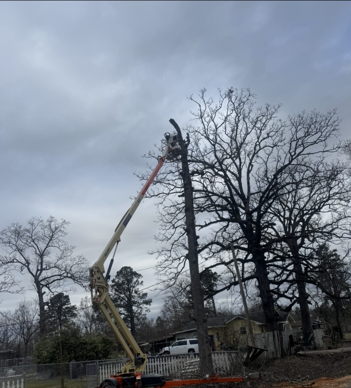 Emergency Storm Damage Tree Removal