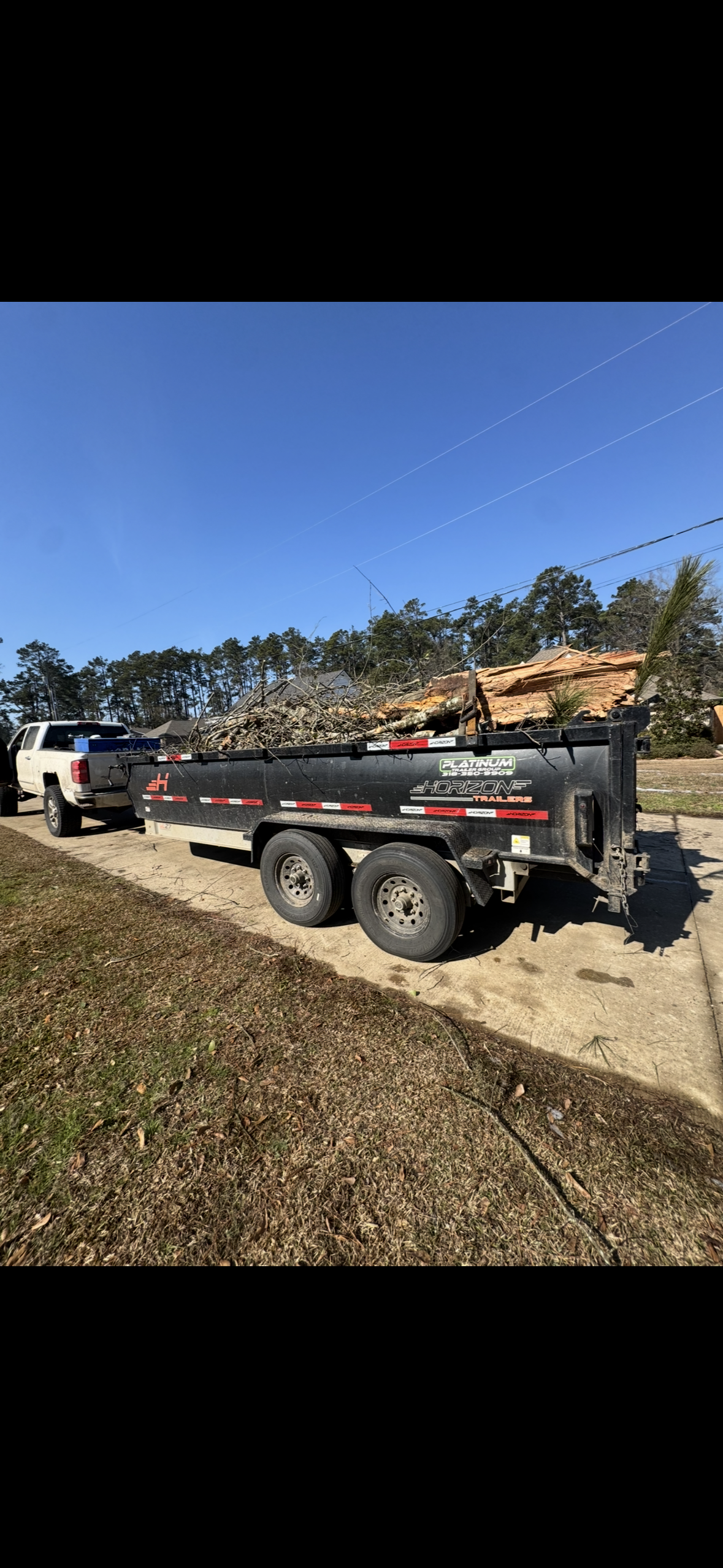Tree Care Service